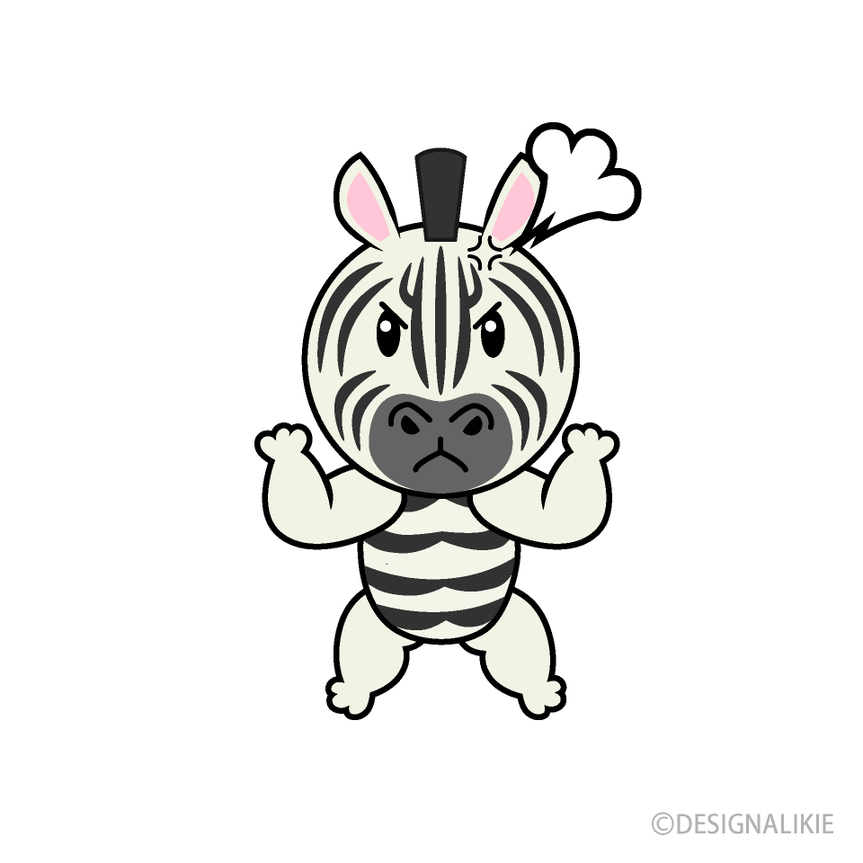 Angry Zebra