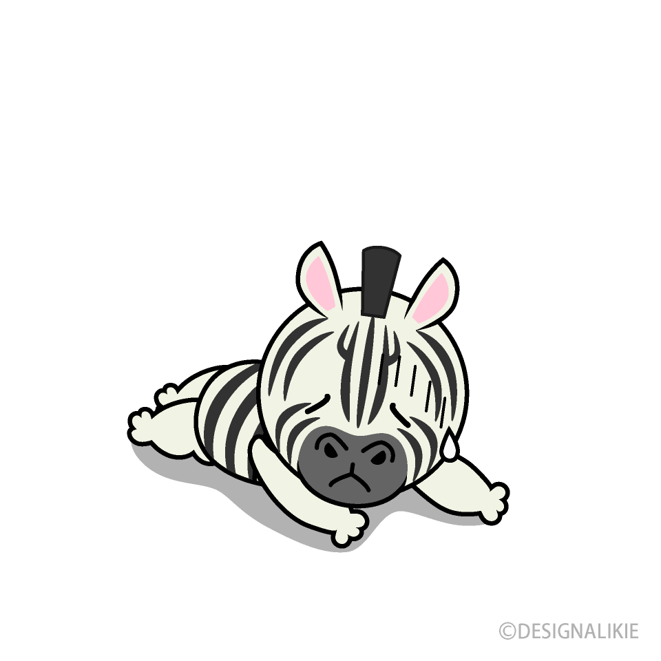 Tired Zebra