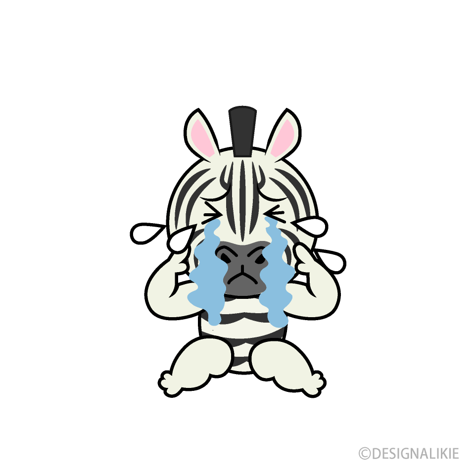 Scared Zebra