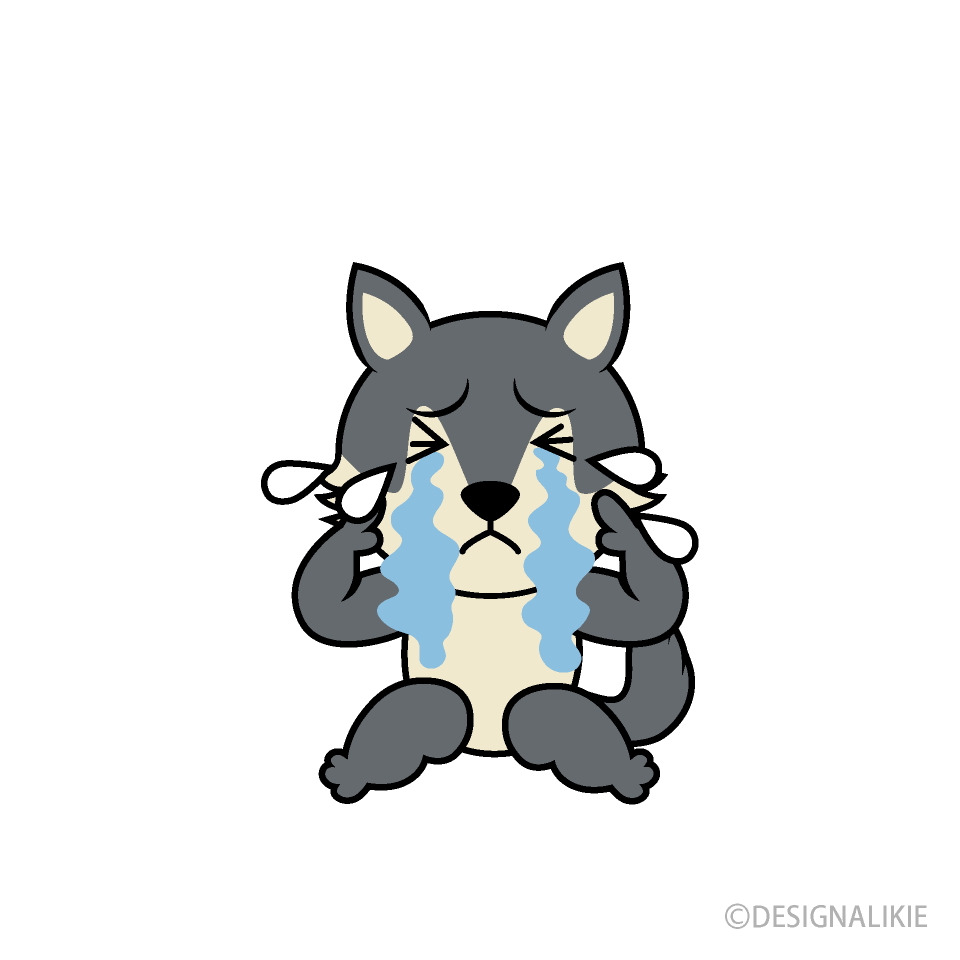 Scared Wolf