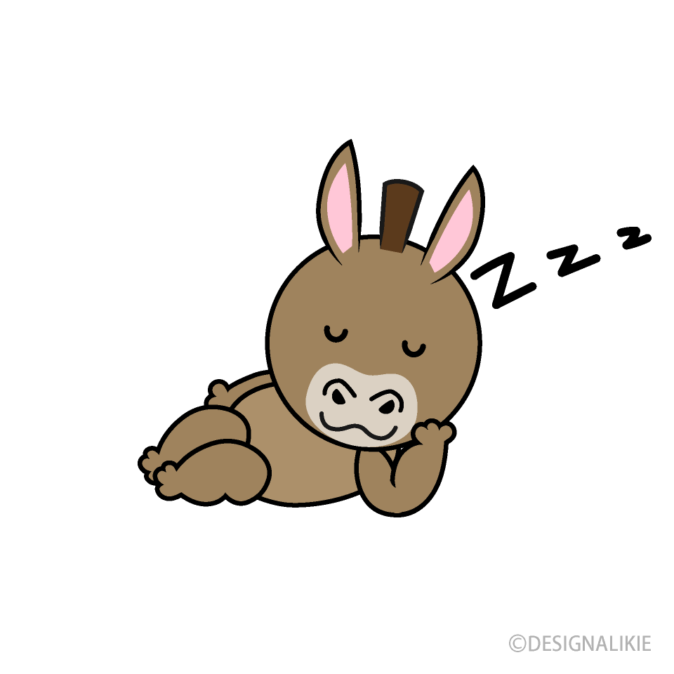 Sleeping Donkey