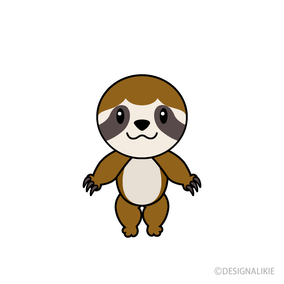 Cute Sloth