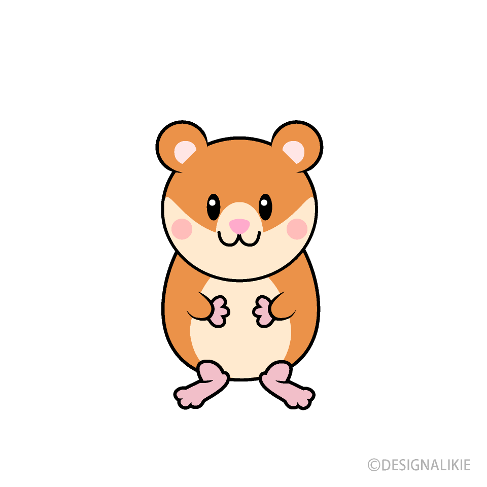 Cute Hamster