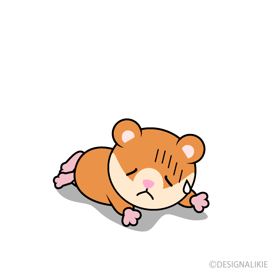 Tired Hamster