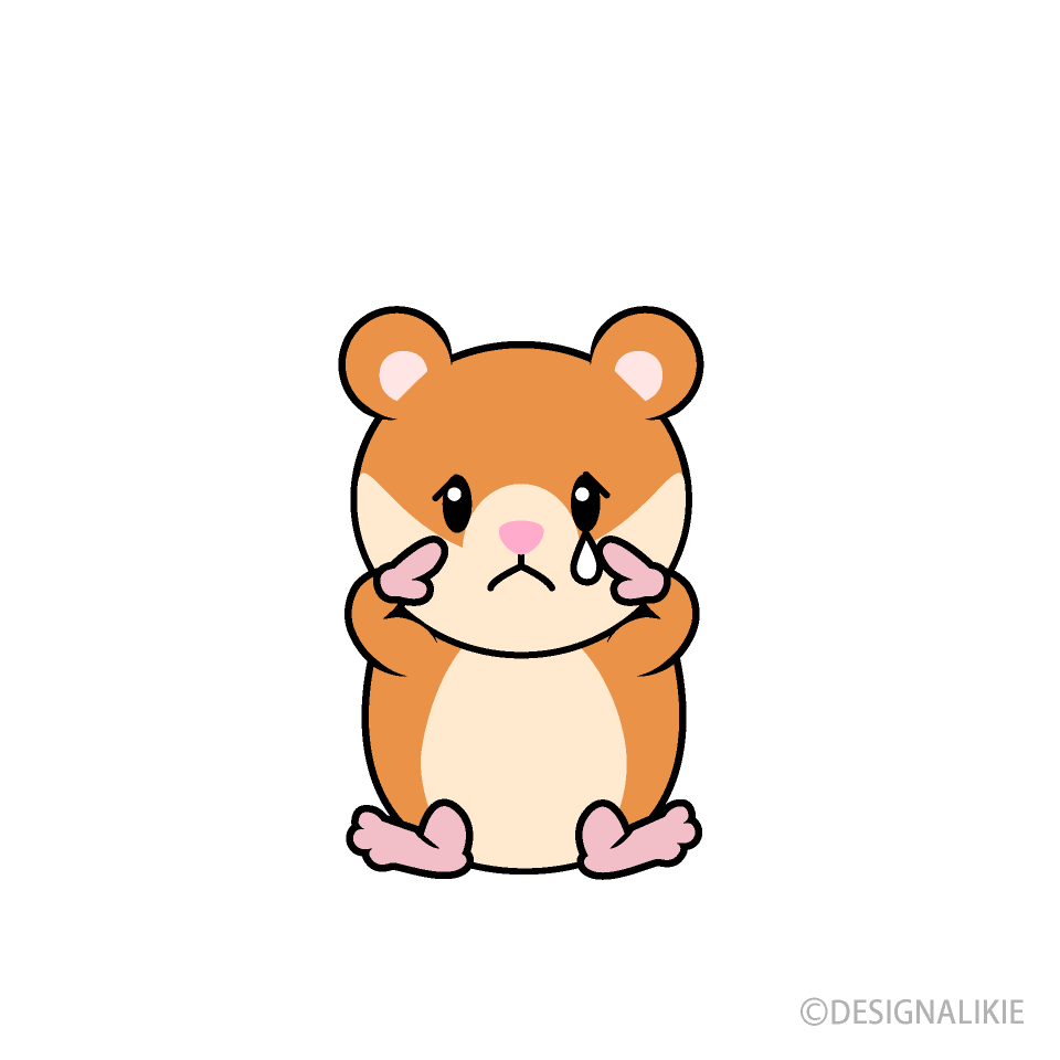 Sad Hamster