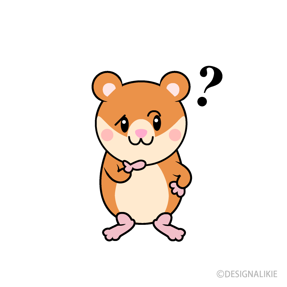 Thinking Hamster