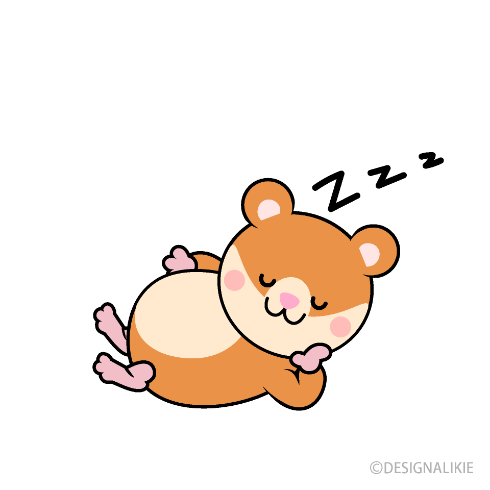 Sleeping Hamster