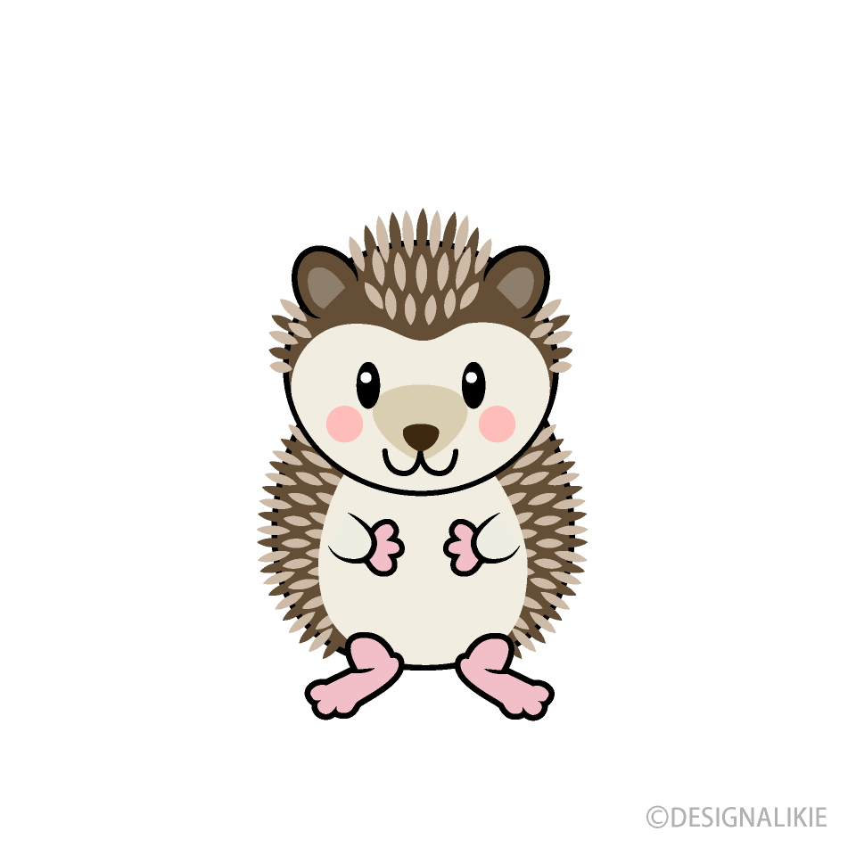 Cute Hedgehog