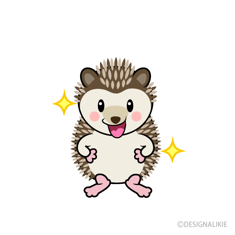 Confident Hedgehog