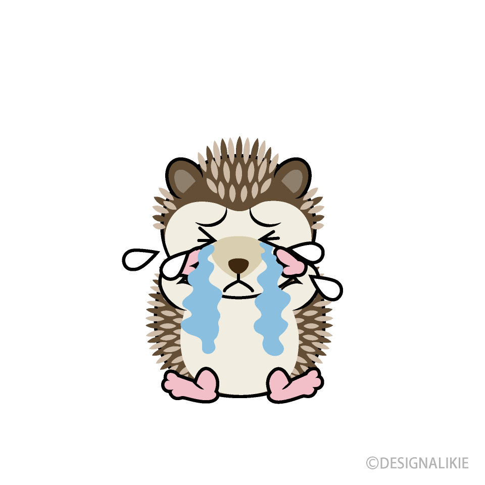 Scared Hedgehog