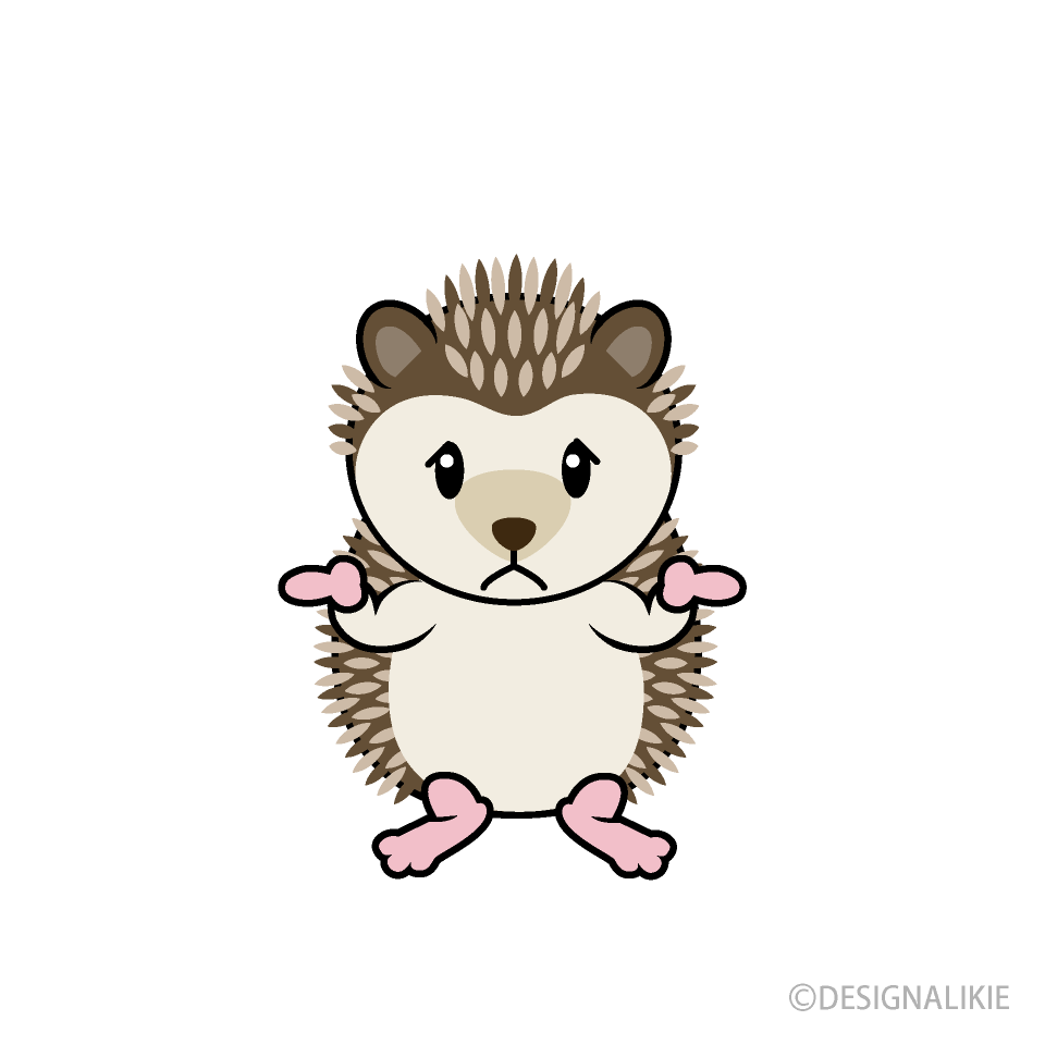 Confused Hedgehog