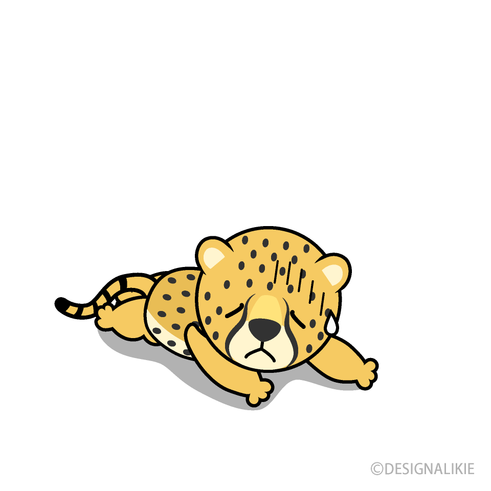 Tired Cheetah