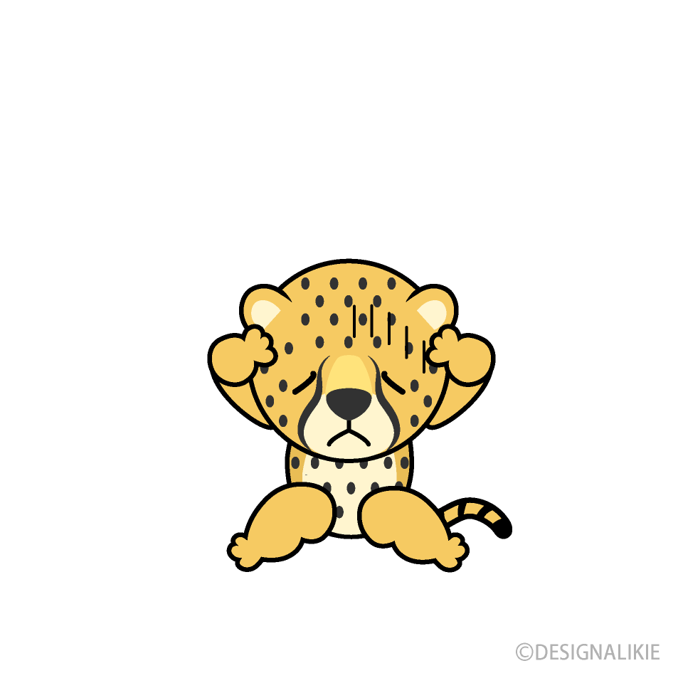 Depressed Cheetah