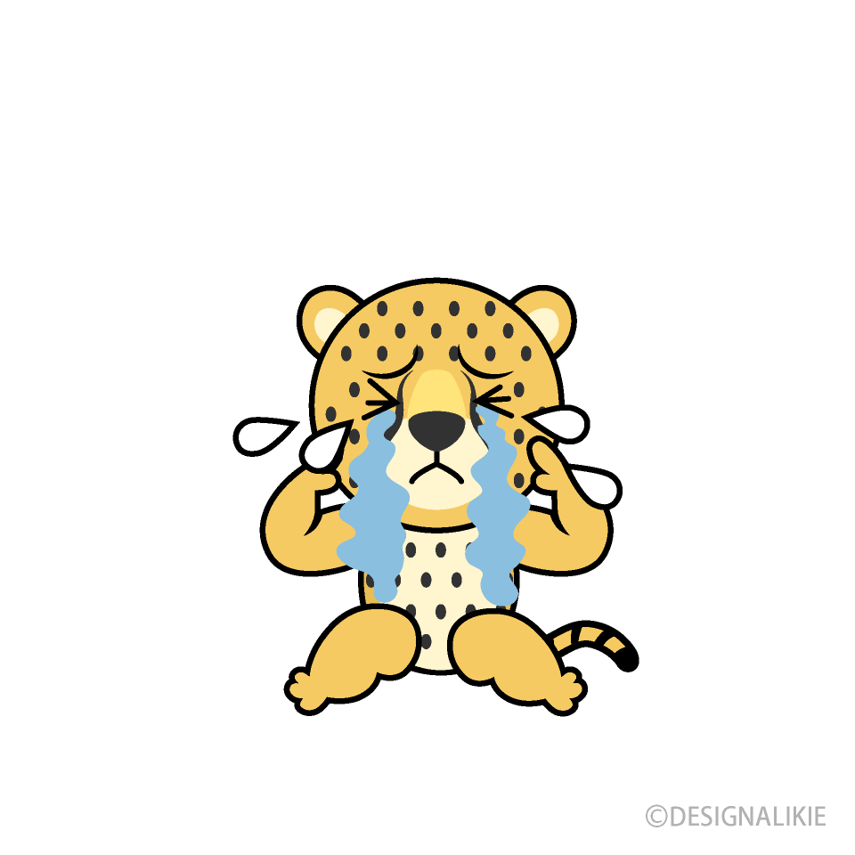 Scared Cheetah