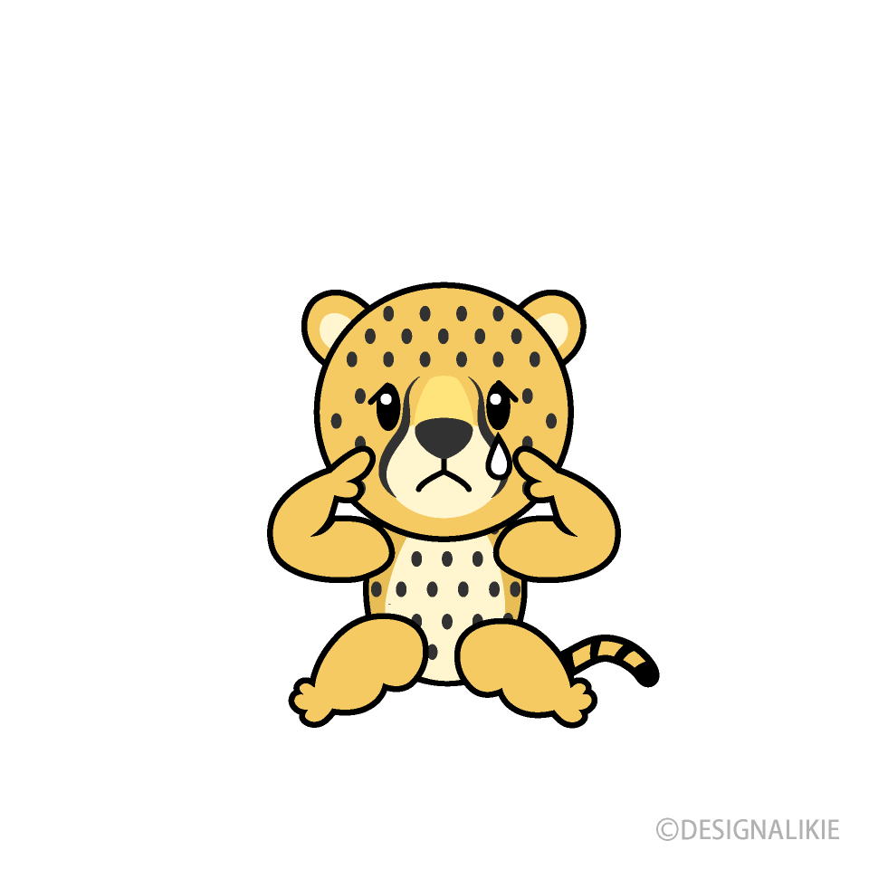Sad Cheetah