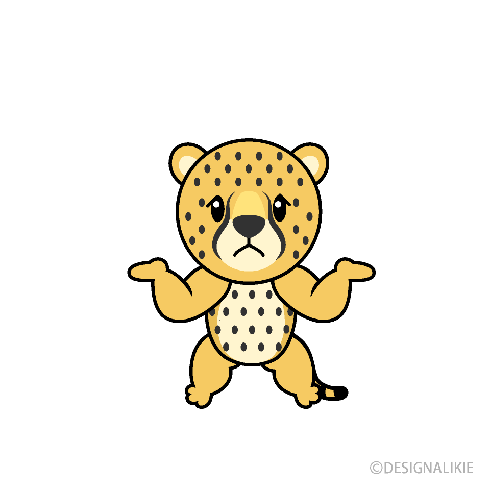 Confused Cheetah