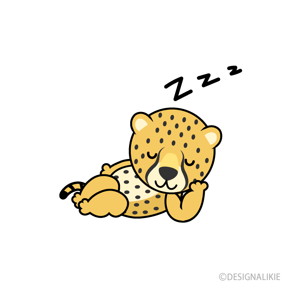 Sleeping Cheetah