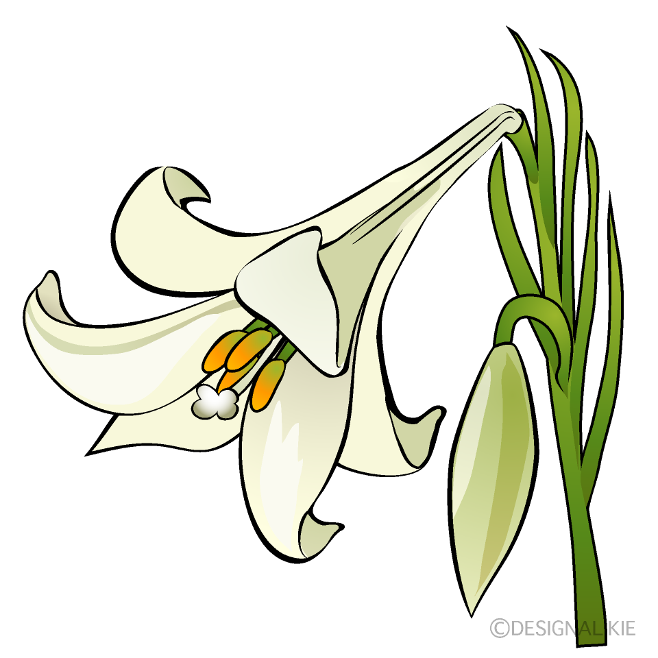 Lily Cartoon