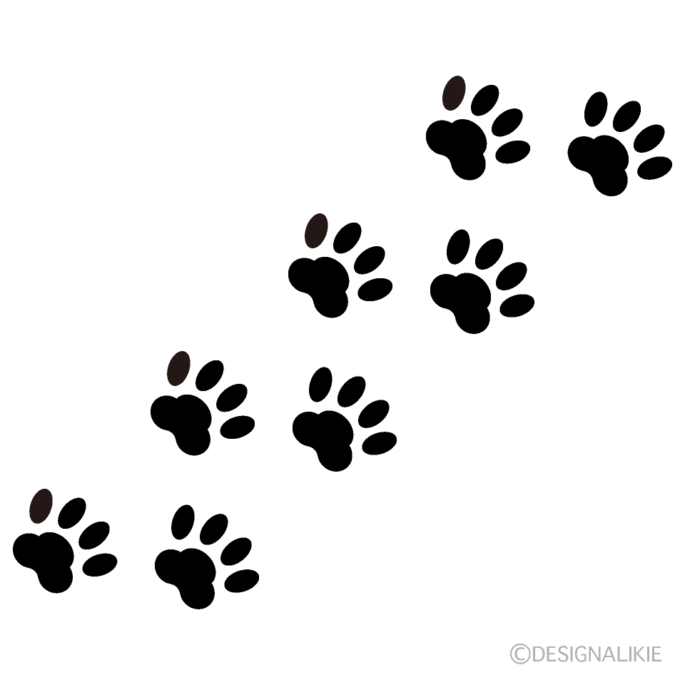 Huellas de perro