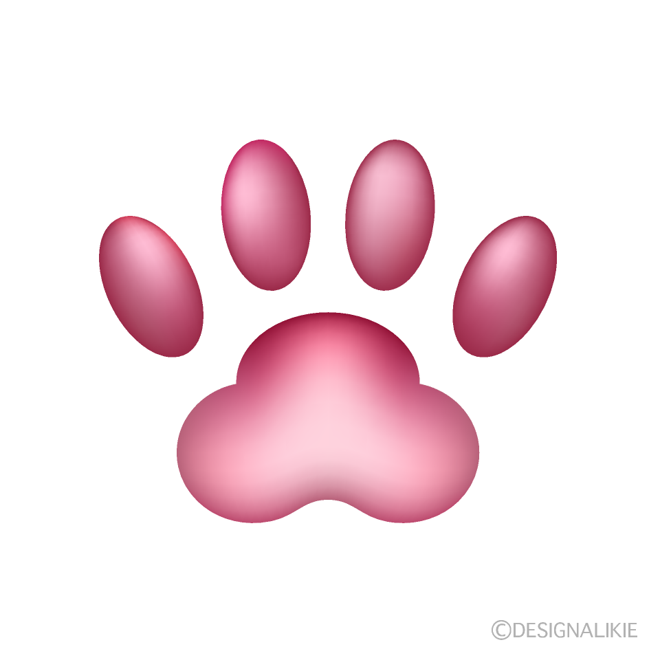 Cat Paw Print