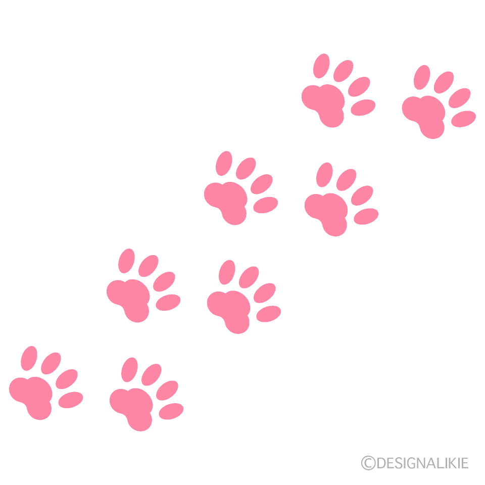 Cat Footprints