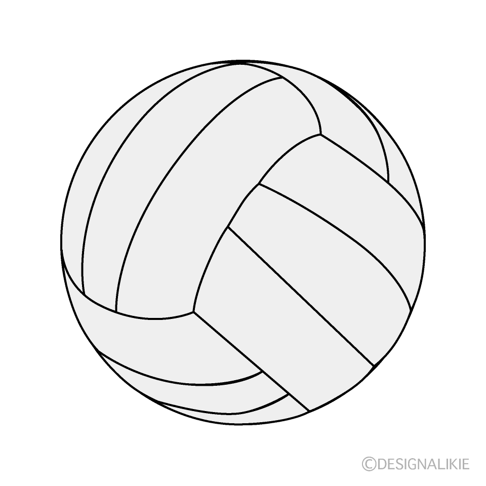 White Volleyball Ball