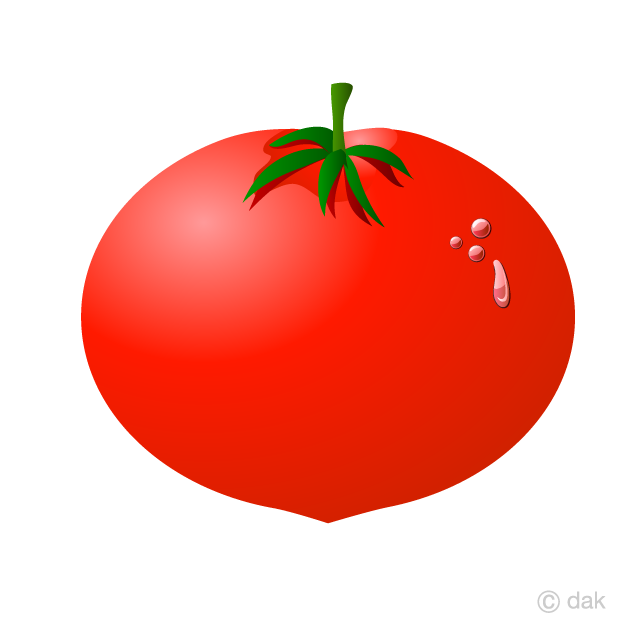 Tomato