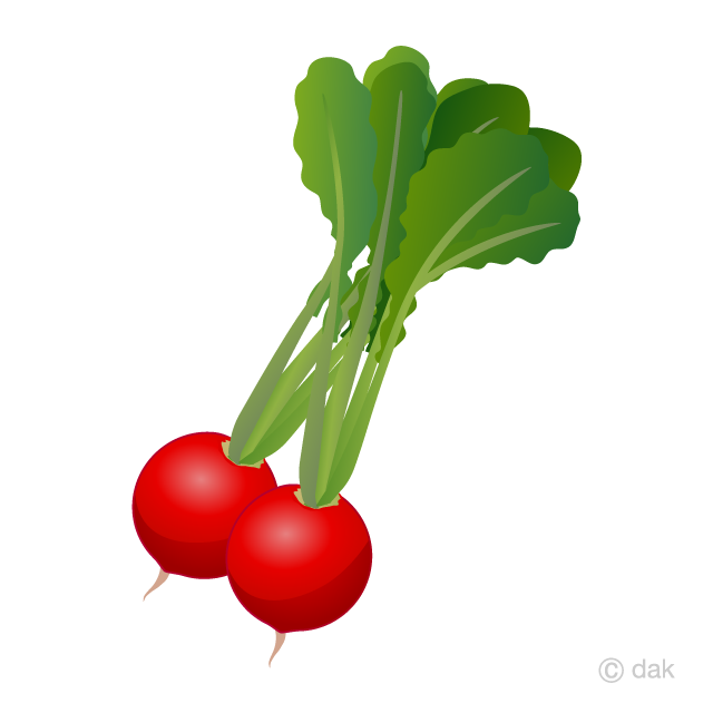 Rábano rojo