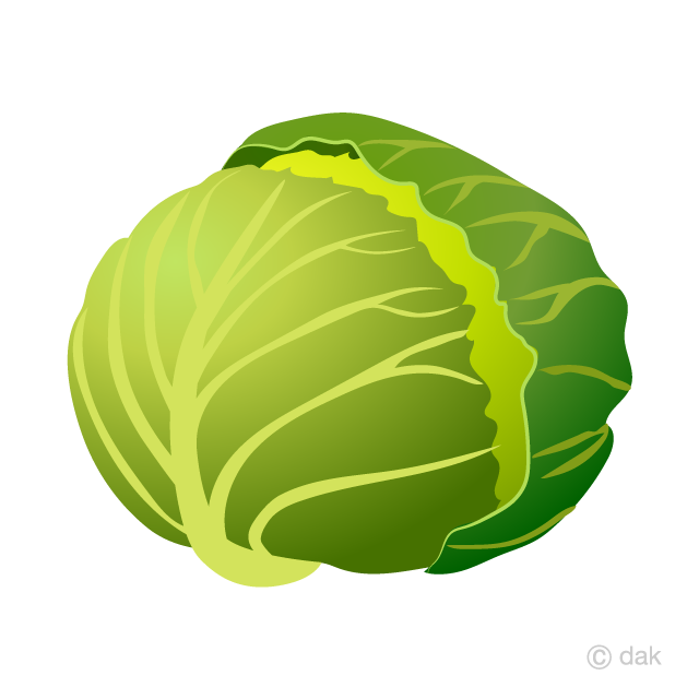 Cabbage