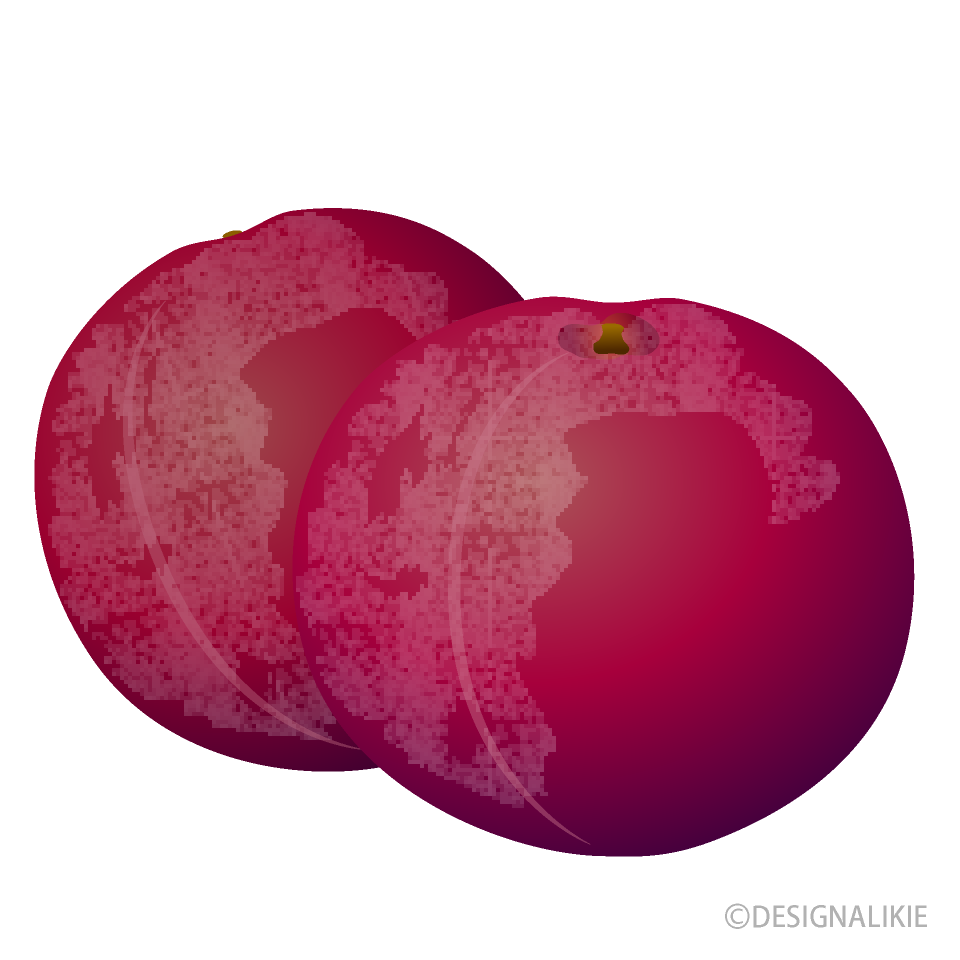 Plum