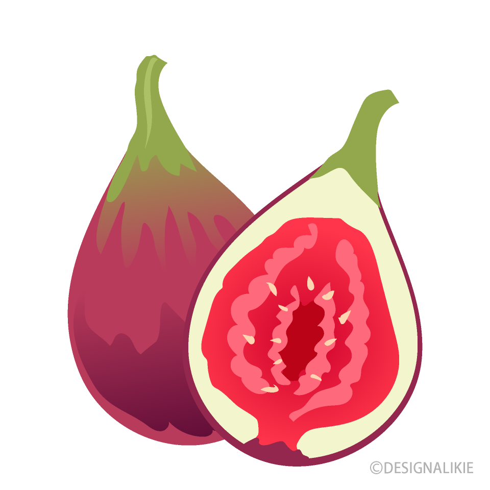 Fig