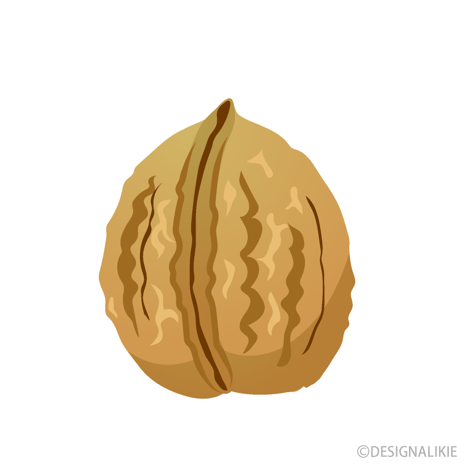 Walnut Fruit