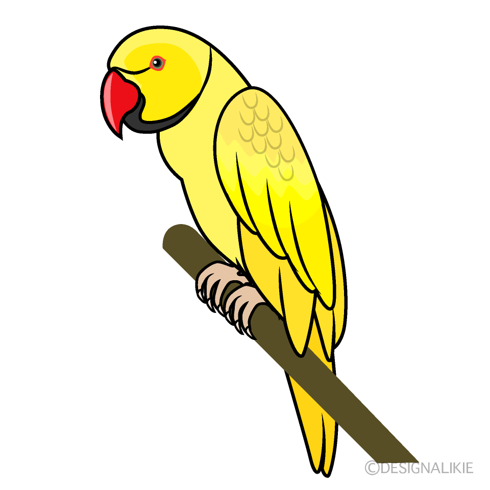 Yellow Parrot