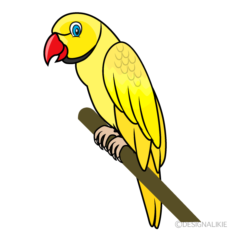 Loro Amarillo Genial
