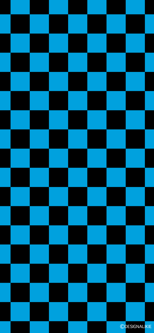 Light Blue and Black Check