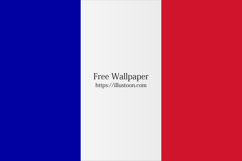 Bandera Francesa