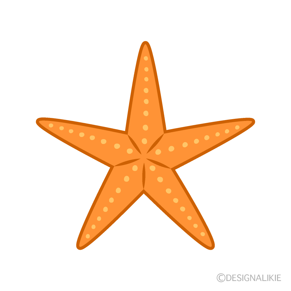 Orange Starfish