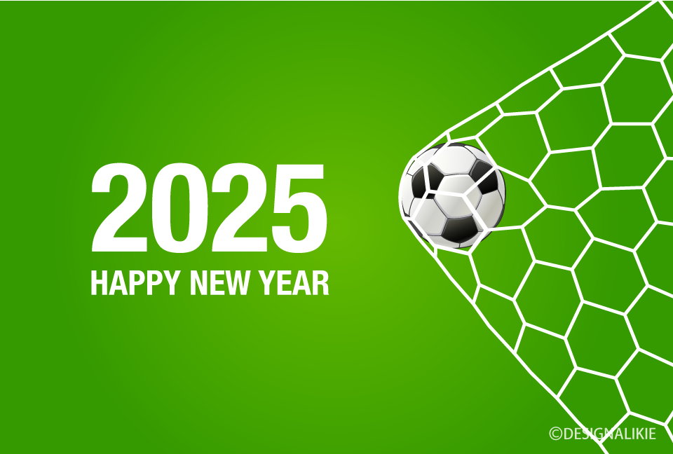 2025 Soccer Goal