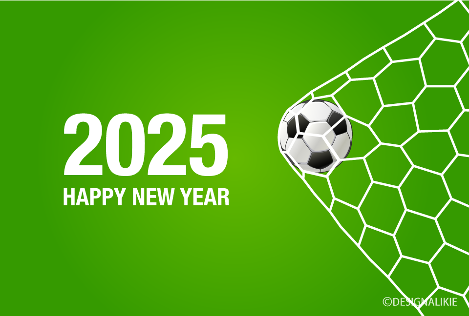 2024 Soccer Goal