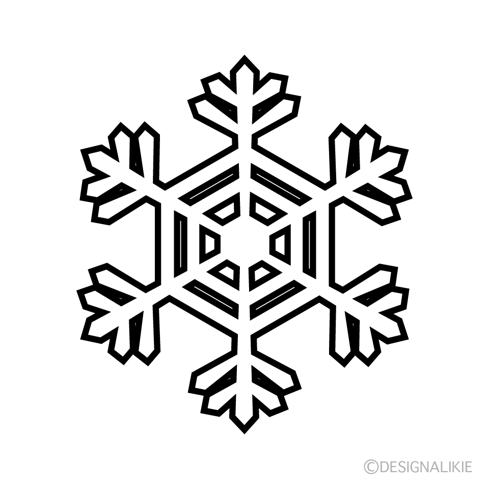 Snowflake Black and White  2