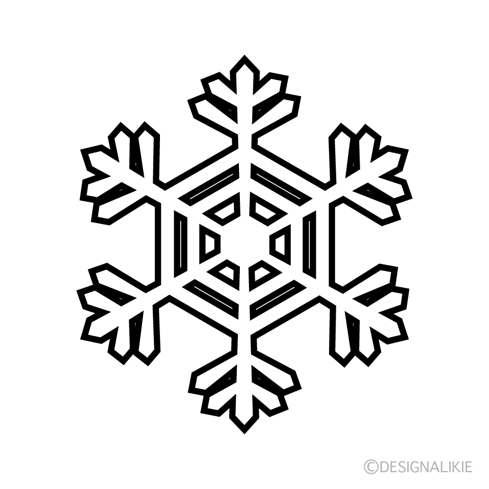 Copo de Nieve en Blanco y Negro 3
