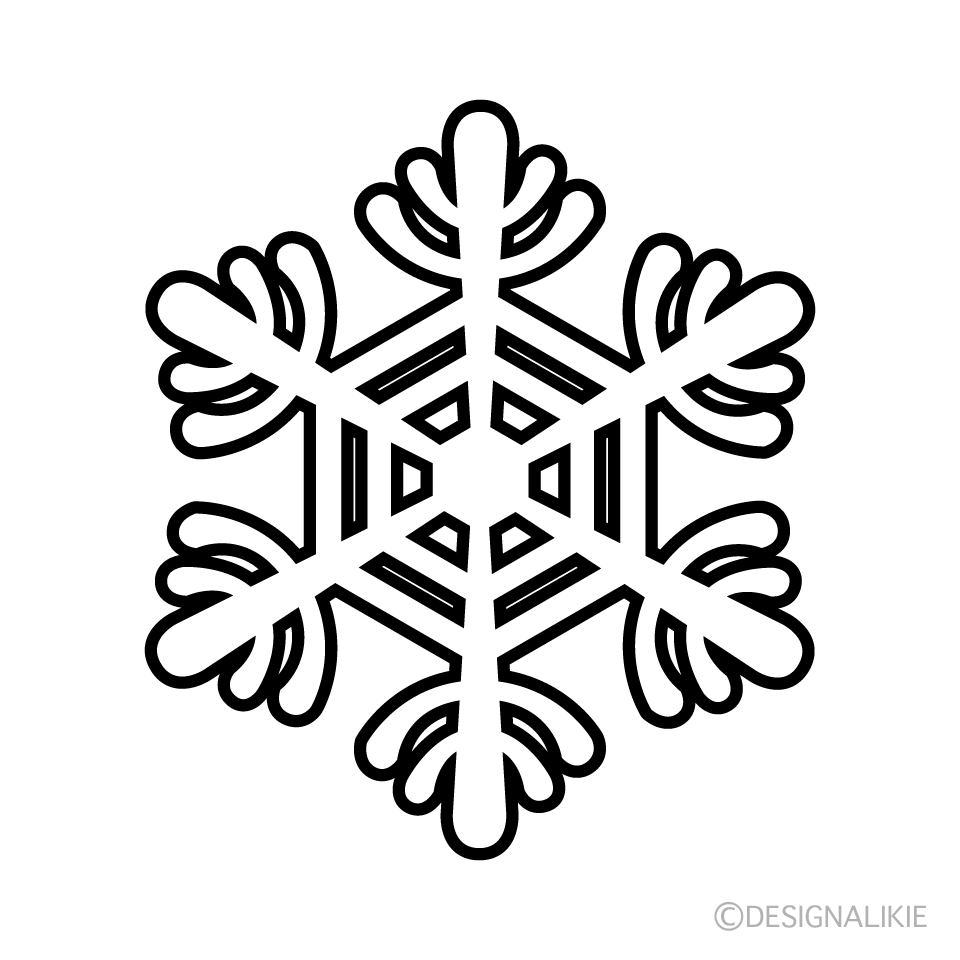 Copo de Nieve en Blanco y Negro 4
