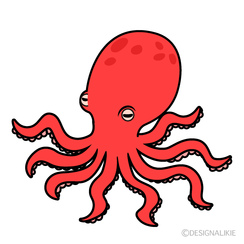 Red Octopus