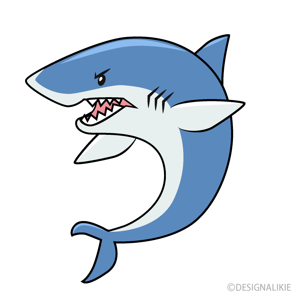 Angry Shark