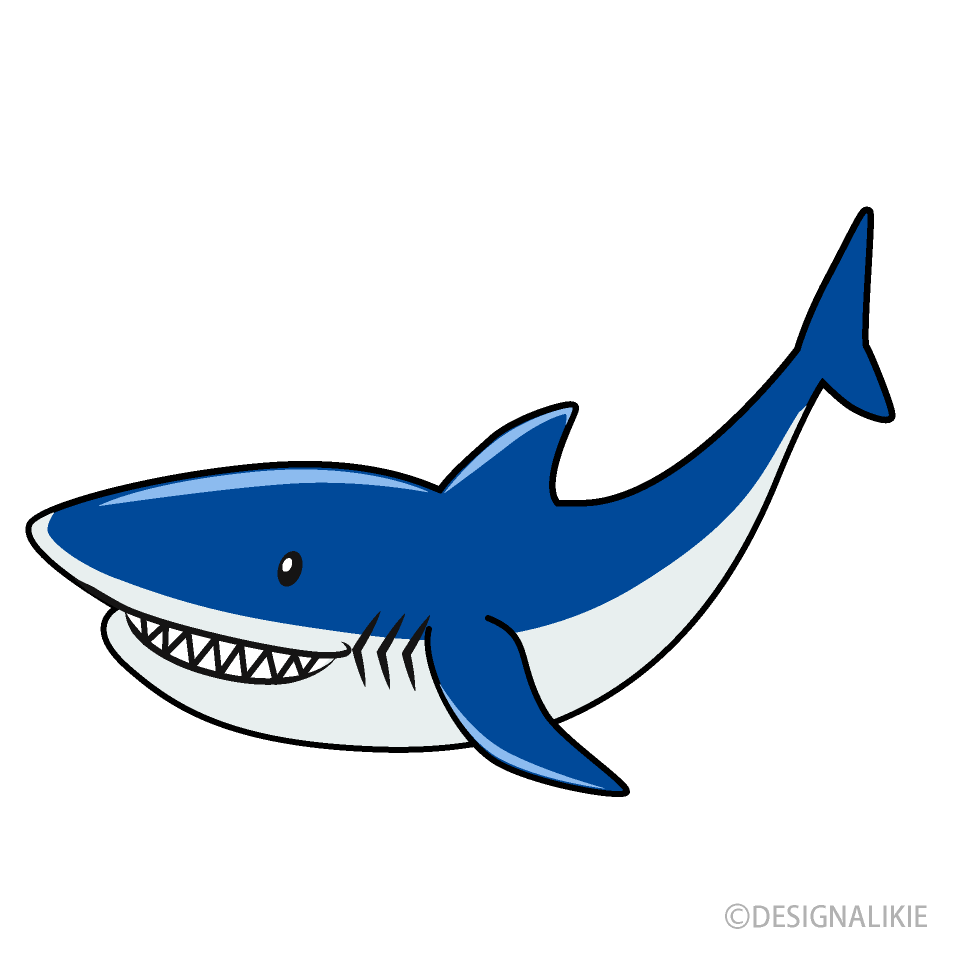 Blue Shark