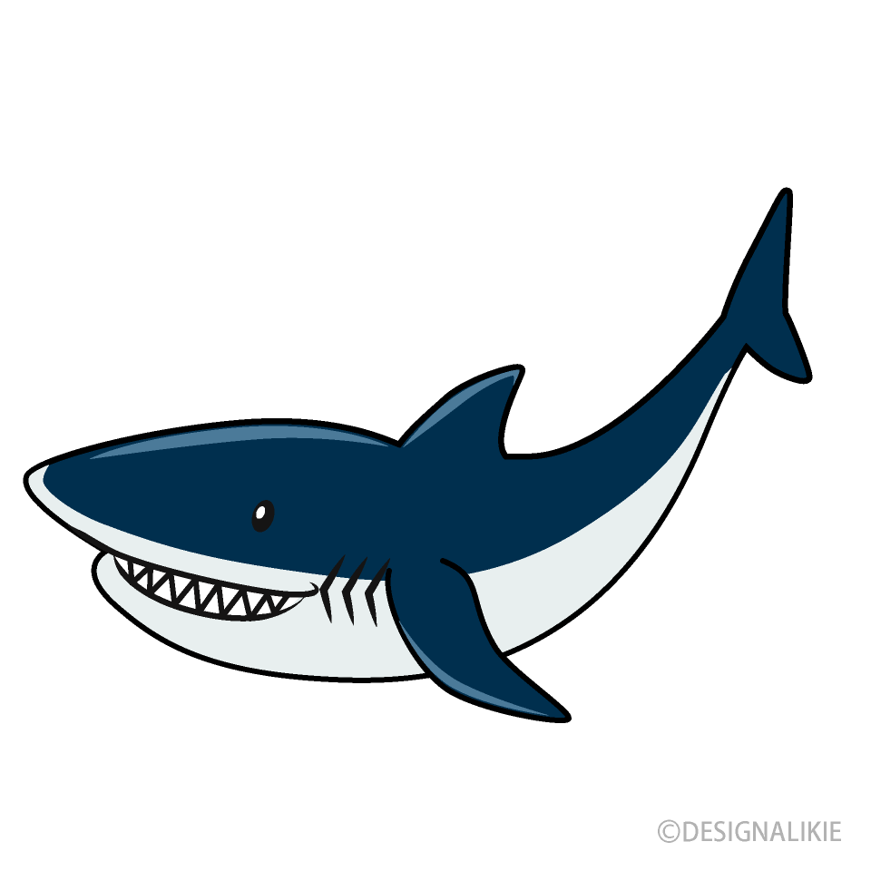 Tiburón Marino