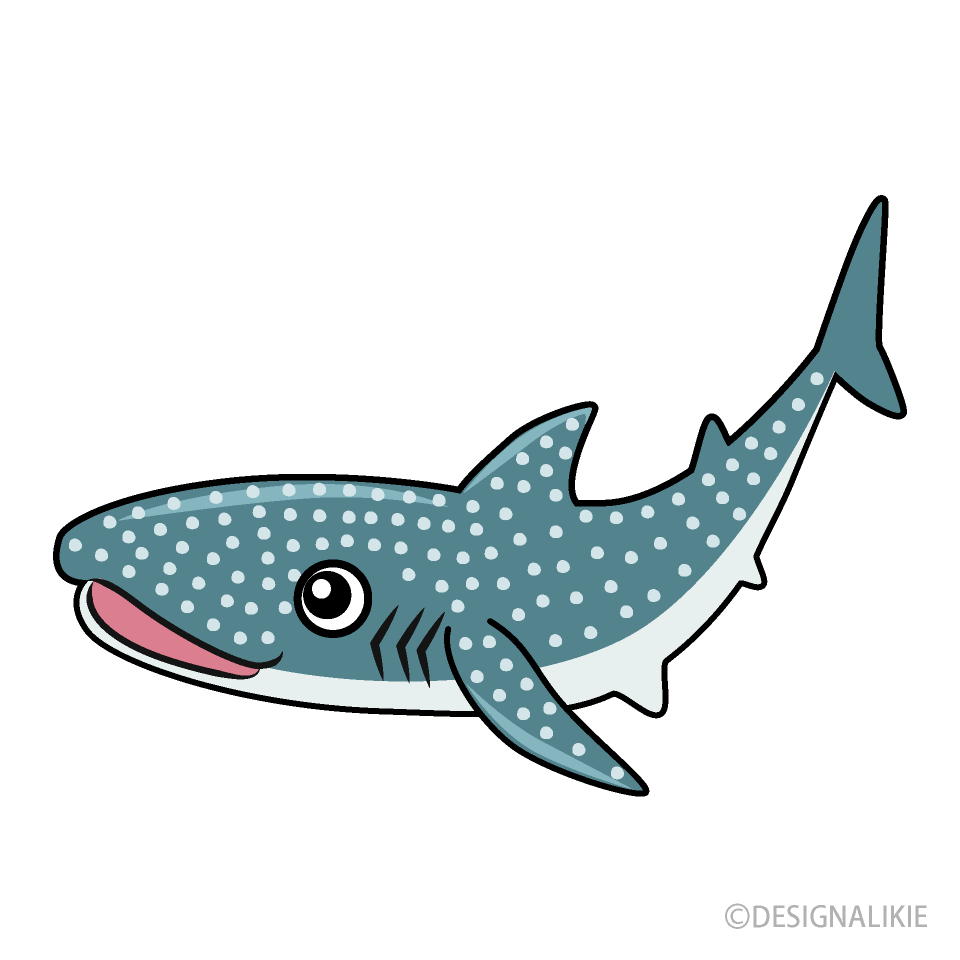 Whale Shark