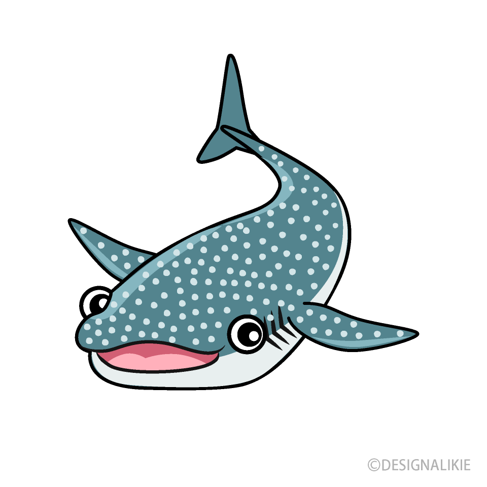 Whale Shark