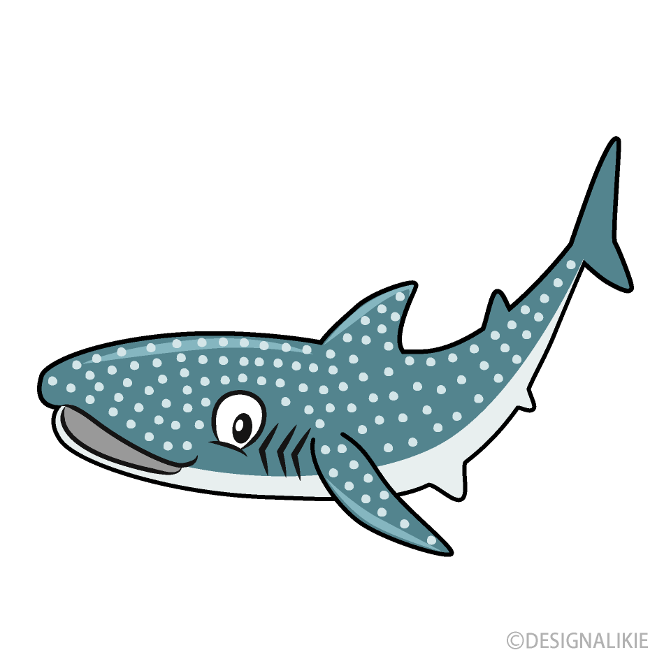 Tiburón Ballena