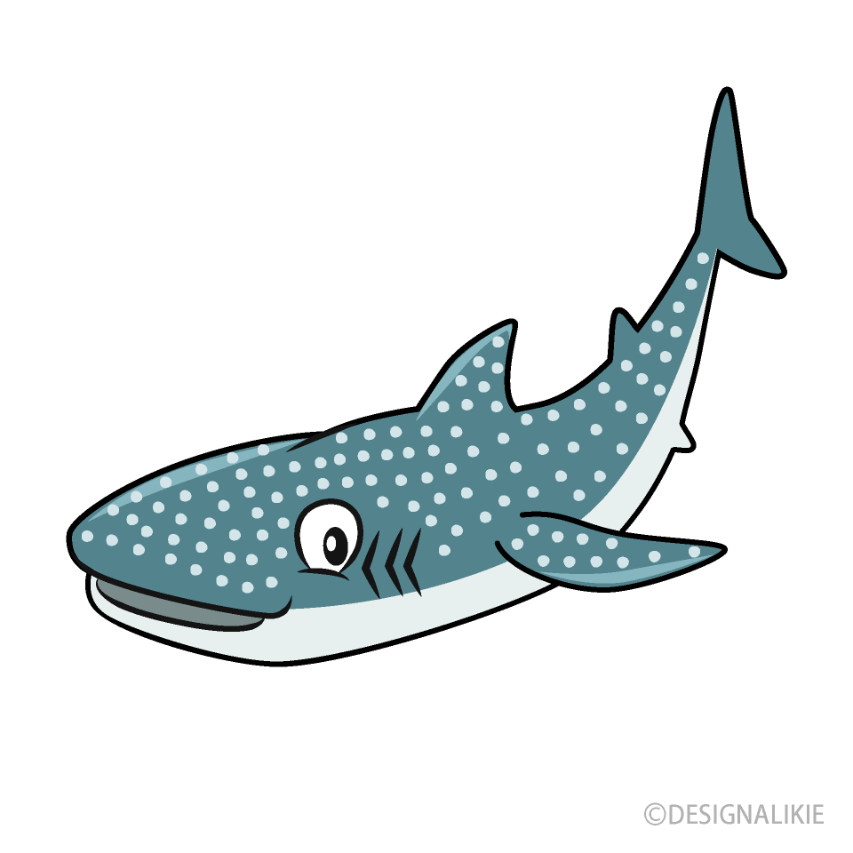 Whale Shark